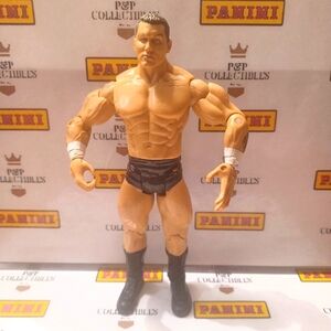 Randy Orton 🔥 WWE Wrestling Action Figure Toy